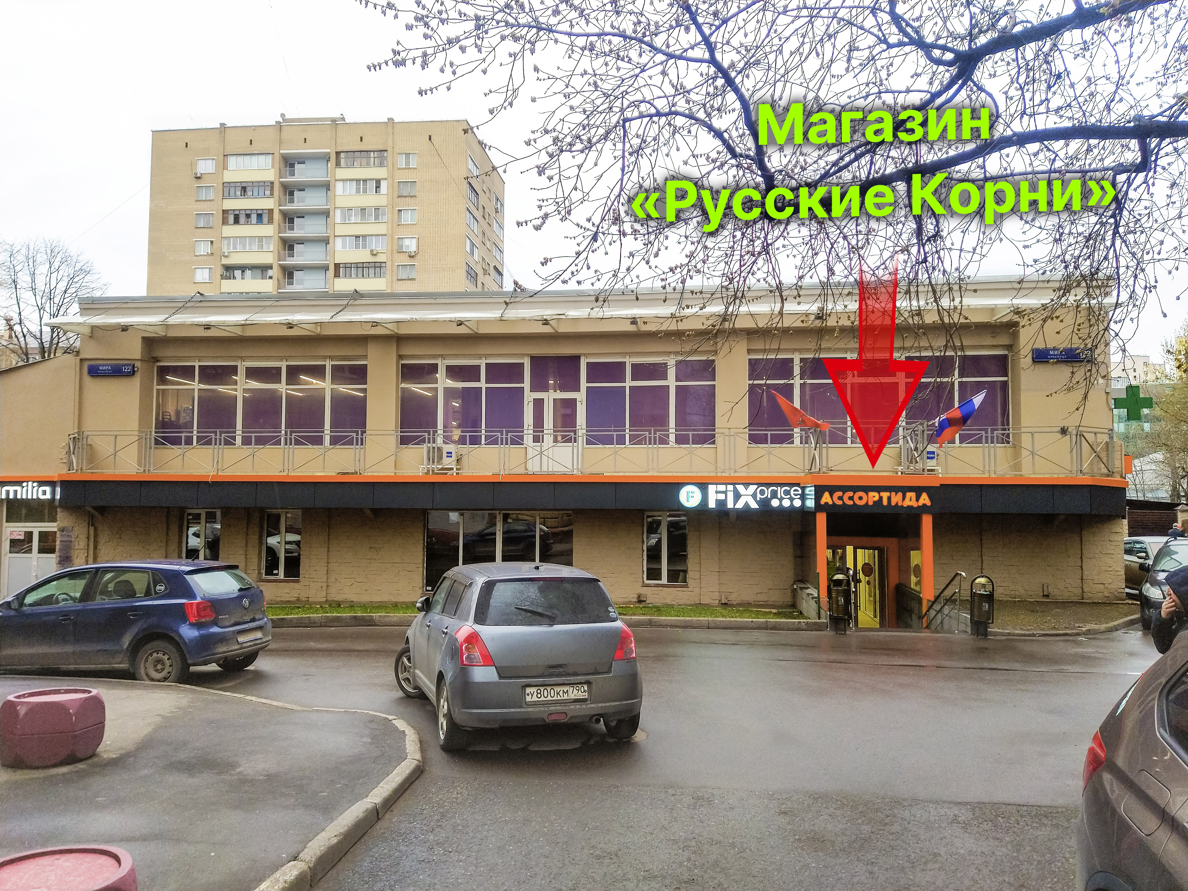 Новые китайские грибы