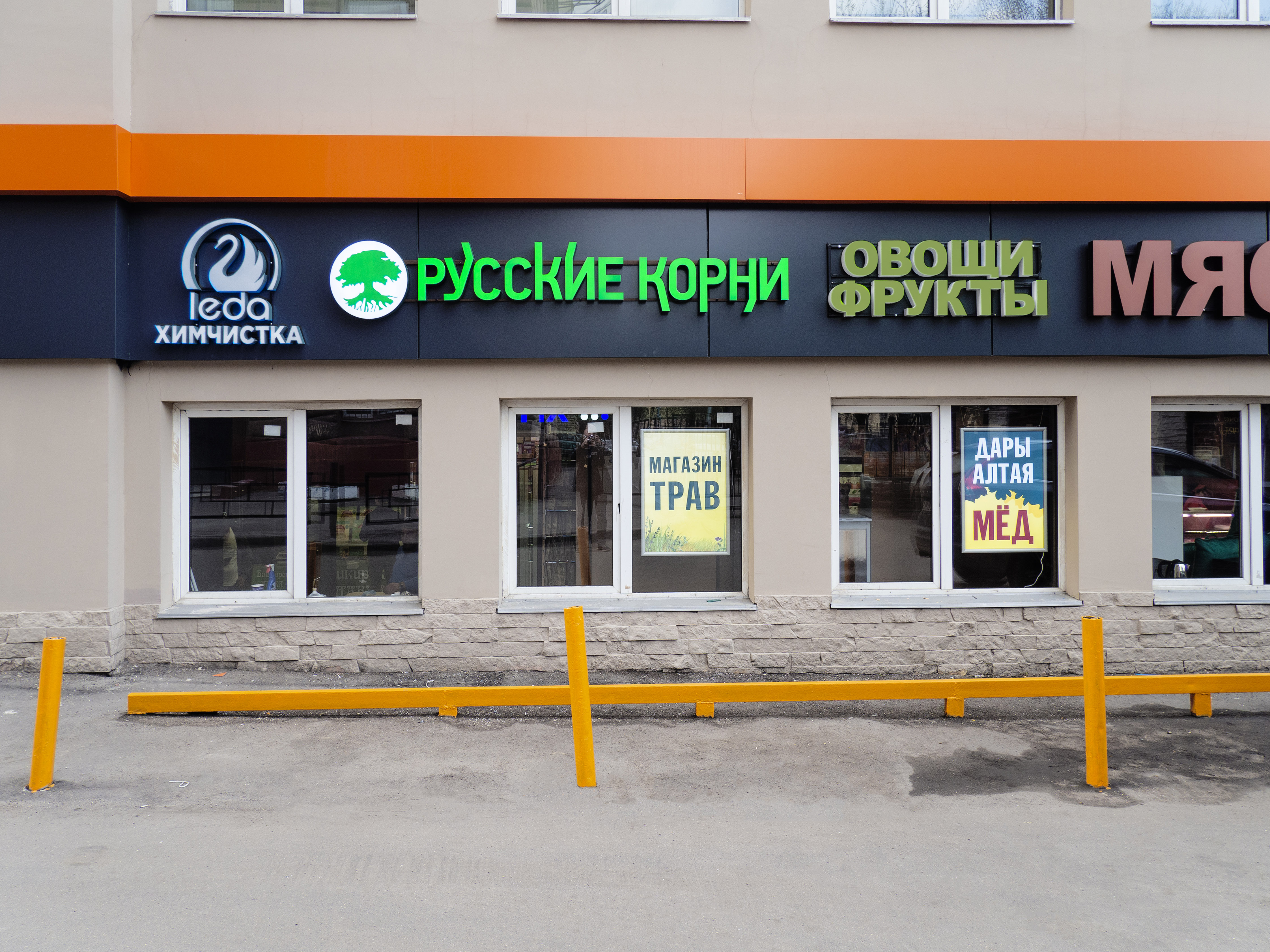 китайские грибы